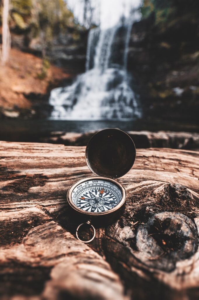 compass, nature, survival, trees, forest, wilderness, brown forest, compass, compass, compass, survival, survival, survival, survival, survival