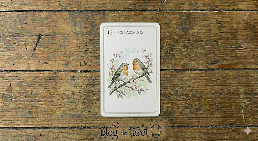 carta-12-baralho-cigano-combinações