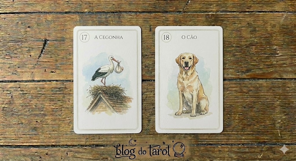 carta-17-baralho-cigano-combinações_