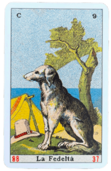 Sibilla-Italiana-La-fedeltà