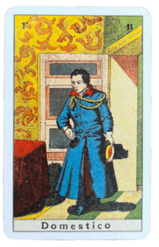 Sibilla-Italiana-domestico